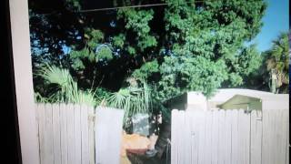 Famous Pasco code enforcement Net Worth