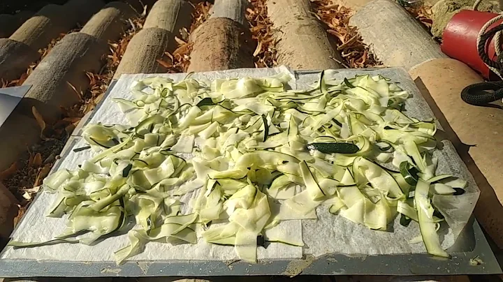 courgettes sches au soleil