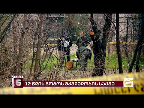 12 წლის ანას საქმე | ნივთმტკიცებების დაზიანებაში ბრალდებულ ექსპერტს გირაო შეეფარდა