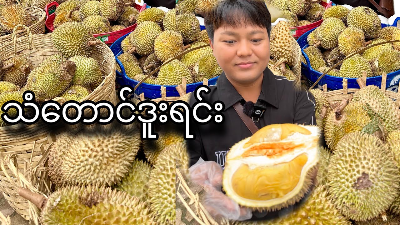 သံတောင် ဒူးရင်း အဝ စားမယ်