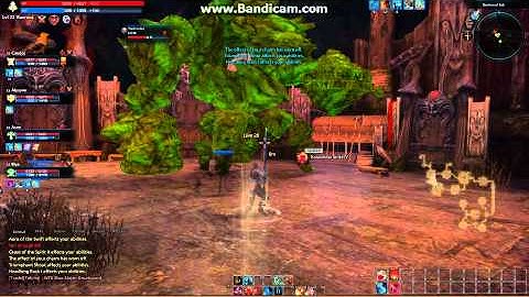 TERA Online Beta lvl 20 Instance Miniboss