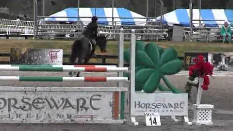 Video of Delisimo ridden by Tracy Magness from Sho...
