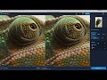 How to Fix Blurry Images with Topaz Sharpen AI