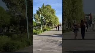 Island Line trail walk #burlington #vermont #BurlingtonMarathonXity