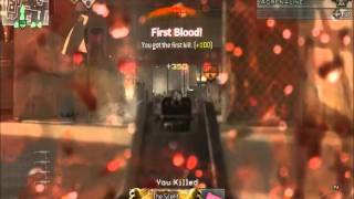 Mw2 Alteriwnet: Adrenaline's bot minitage