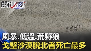 風暴、低溫、荒野狼 戈壁沙漠居然是脫北者死亡最多地區！？ 關鍵時刻 20180312-5 朱學恒 王瑞德 馬西屏