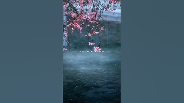 Thumbnail of Bol Na Halke Halke Lyrics (Jhoom Barabar Jhoom)_ Ankit Tiwari