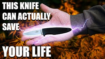 How this EDC Knife can Actually save your Life! Fallkniven Wm1