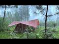 Camping solo forte pluie  camping relaxant avec sons de pluie  asmr