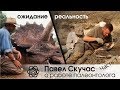 Чихающий лаборант или мезозойский динозавр?