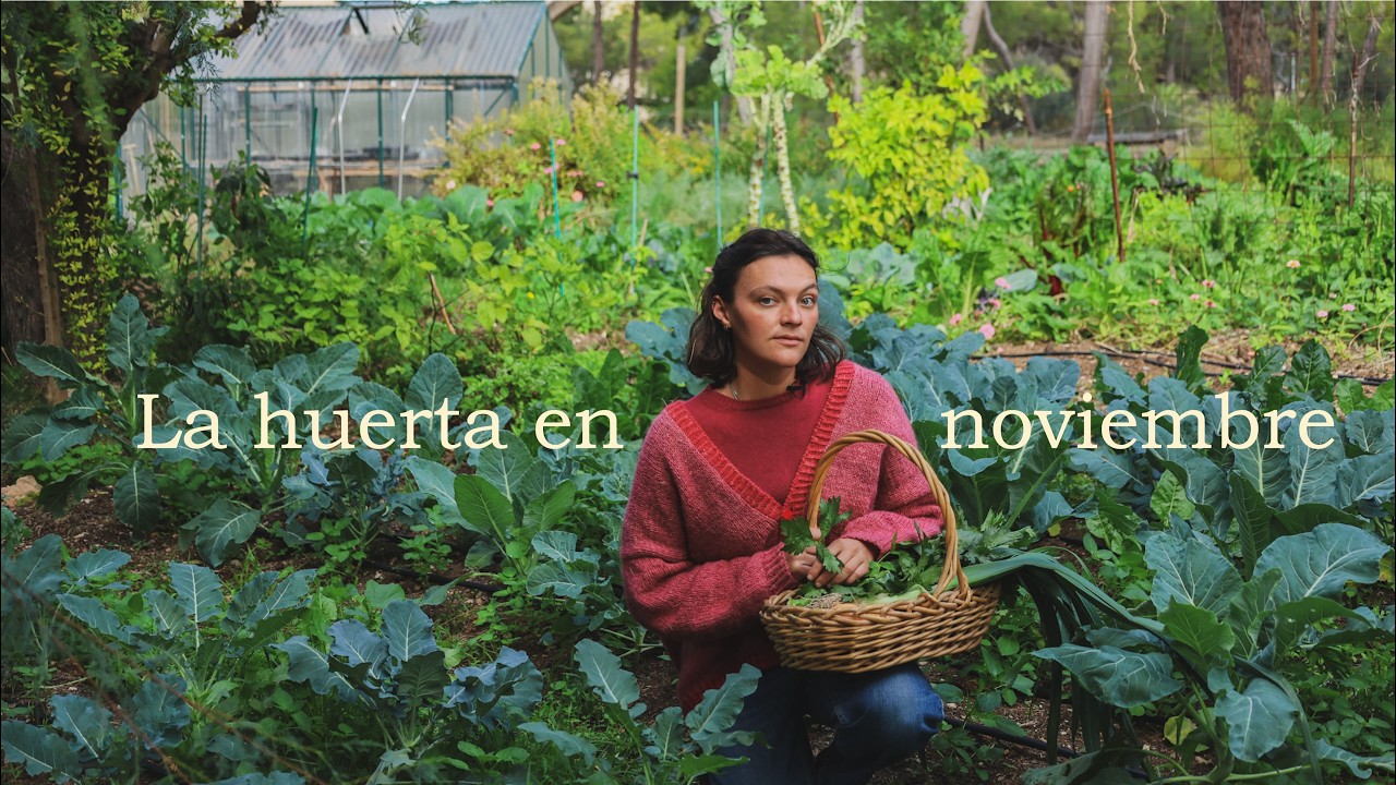 El huerto familiar en noviembre - Cosechas y cultivos de la huerta de otoño