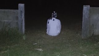 🔴LIVE MISTERI MALAM INI🔴|| Bertemu Jin Muslim