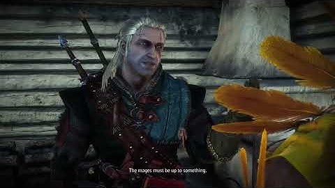 The most awkward conversation from The Witcher 2