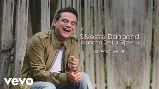 Video thumbnail of "Silvestre Dangond - Un Amor Genial (Cover Audio)"