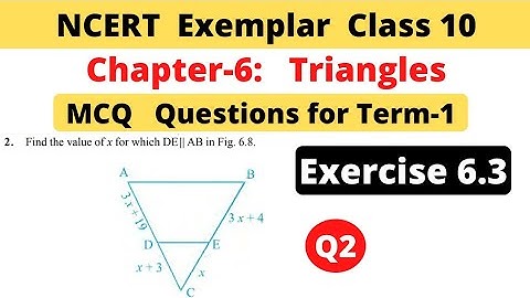 NCERT Exemplar | Class 10 Maths | Chapter 6 Triangles | Exercise 6.3 | Question 2 | MCQ Term 1