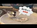 手作りバードケーキに舌鼓を打つシジュウカラ達（2026年1月10日）
