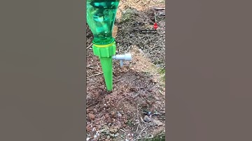 Béc tưới nhỏ giọt gắn chai nước GIÁ RẺ tiện lợi #becnhogiot #béc_tưới_cây