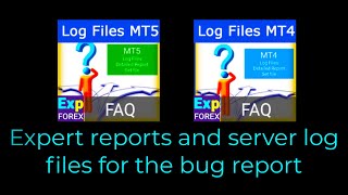 English. Expert reports and server log files for the bug report