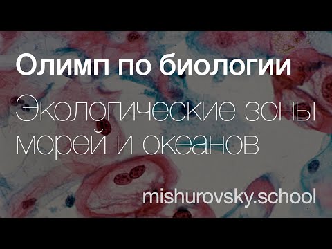 Экологические зоны Мирового океана | Олимпиадная биология