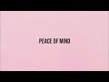The Big Hash - PEACE OF MIND (Official Lyric Video)
