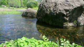 自然音】春の小川のせせらぎ - YouTube