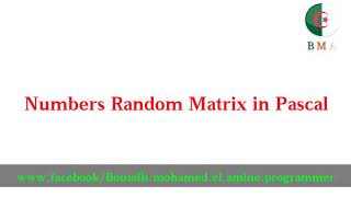 Numbers Random Matrix in Pascal