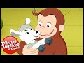 Jorge el Curioso en Español 🐵El Negocio de Jorge y Allie 🐵 Capitulos completos del Mono Jorge