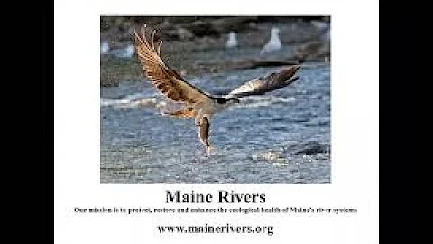 Maine Rivers with Landis Hudson