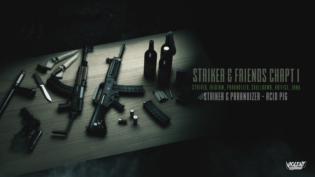 Striker & Paranoizer - Acid Pig [VDR010]