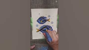 Surgeonfish diamond painting time lapse
