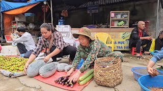 A bountiful vegetable harvest after days of tending and watering.