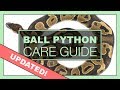 Complete Ball Python Setup & Care Guide | UPDATED VERSION