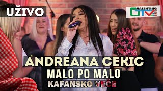Смотреть клип Andreana Cekic - Malo Po Malo