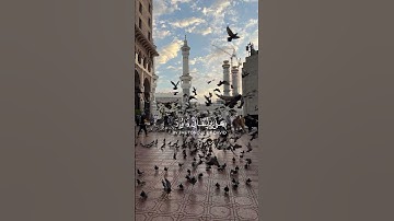 سورة المائدة {الآية 78} بصوت الشيخ ماهر المعيقلي ❤️❤️