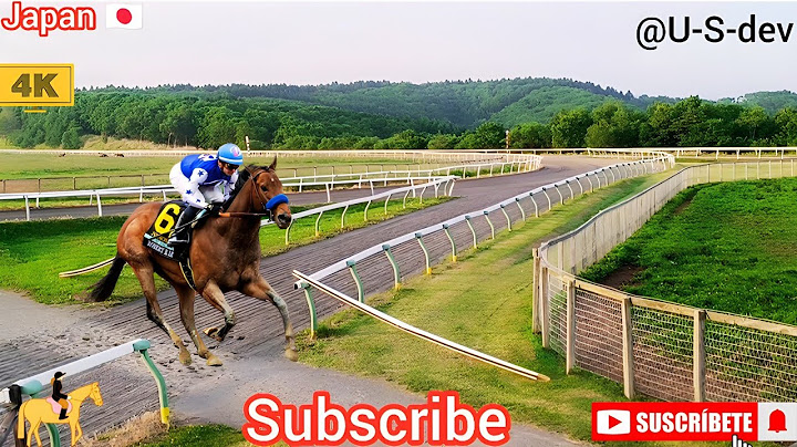 Japan horse track / Horse job horse / horse videos 🐎 / #horse #animals