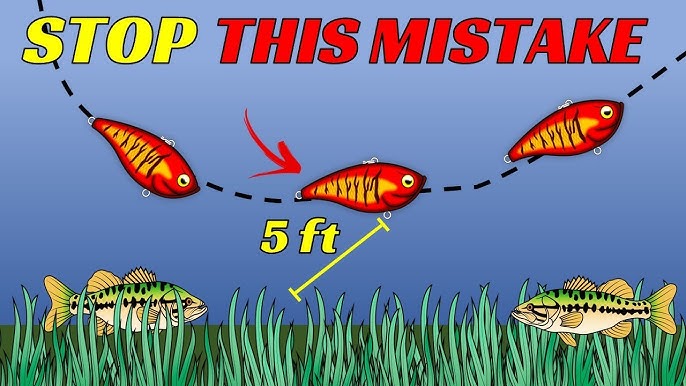 Before you Buy ANYMORE Lipless CRANKBAITS Watch THIS!!! 