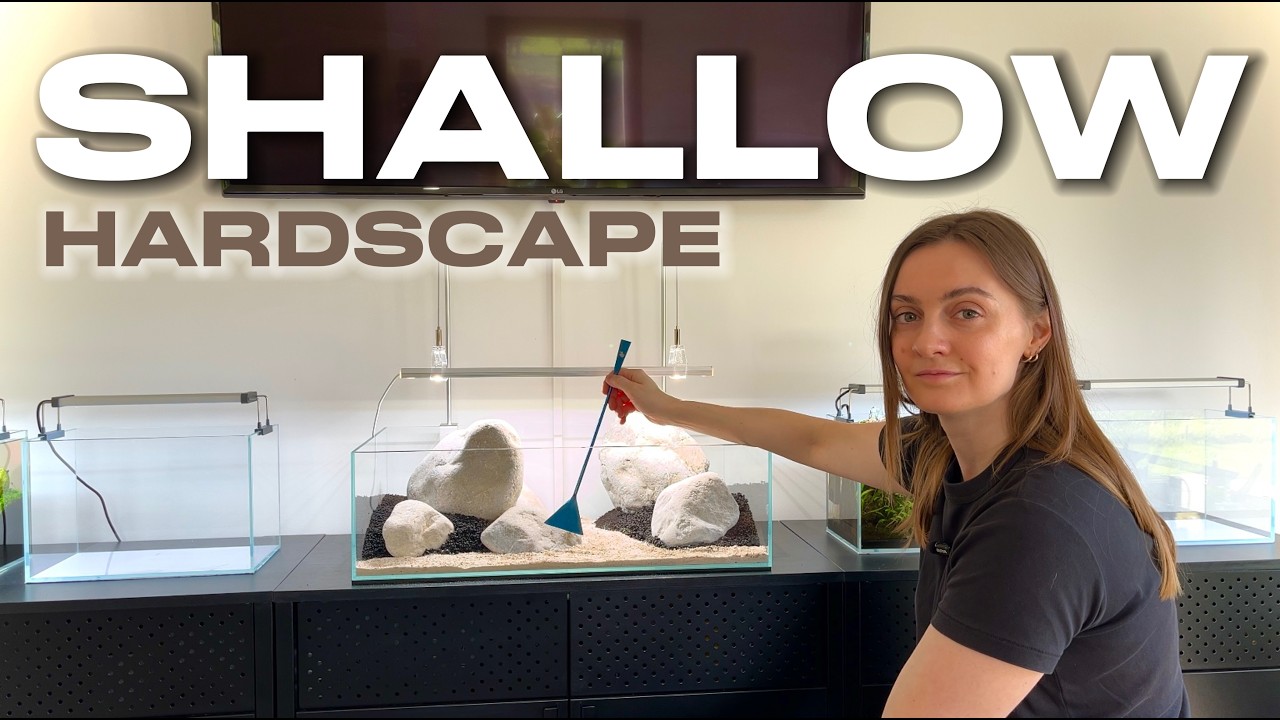 Акваскейпинг на мелководье реки