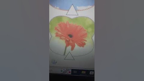 HOMEWORK - Unit 9 Lesson 1 - MLI 1 - STARTER