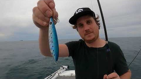 Slow pitch jigging for snapper