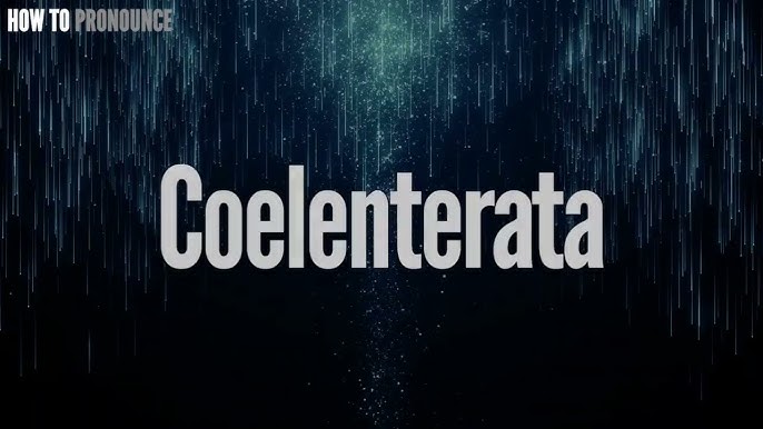 5 Ways To Pronounce Coelenterata Correctly | 2024