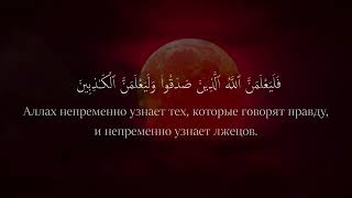 Сура Аль-'Анкабут (Паук) аяты 1-7 | Рамазан бин Багавутдин