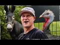 This Race Car Driver Owns a Zoo | NASCAR