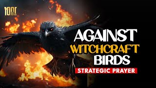 Prayer Against Witchcraft Birds Animalistic Spirit