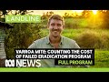 Managing varroa mite, cattle trade disruptions, and the big investment in Aussie popcorn | Landline