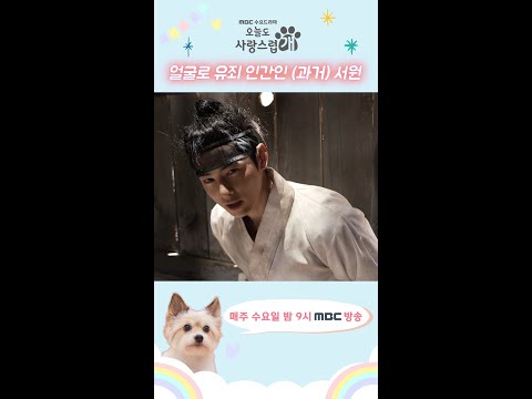 [오늘도 사랑스럽개] 얼굴이 유죄 인간인 (과거) 차은우의 모습..❣ | 오늘도 사랑스럽개 | MBC 240103 방송