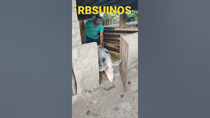 Trocando a porca de Baia fazendo o manejo