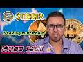 Entrevisté a 10 ballenas de staking TIBBIR token: claves 2026