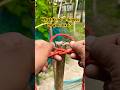 Tying Knots on Bamboo Made Easy #tutorial #bamboo #knot