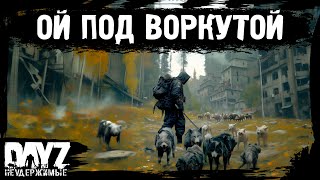 : #3 ""  : DayZ   ( 21,  1.26)