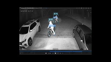 Low/No Light Cameras with  AI Triggers